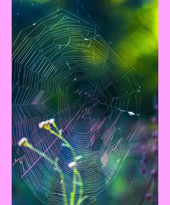 Do I really have to pay for ...